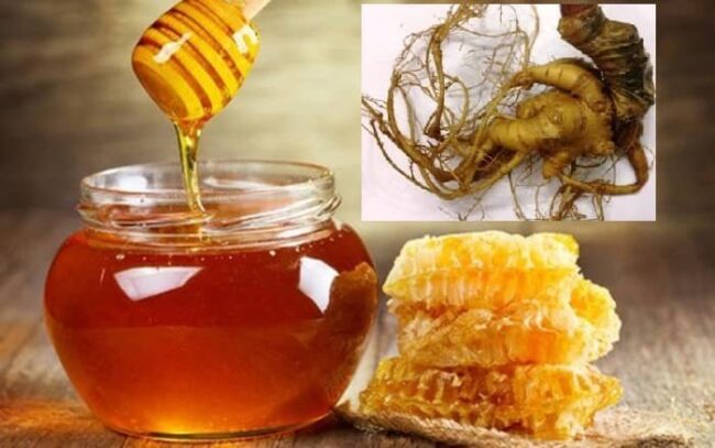 Cách uống tam thất mật ong để tăng cân chị em nên biết