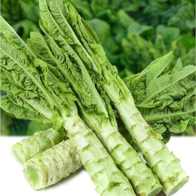 Rau tiến vua