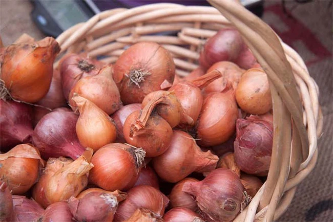 Cách bảo quản hành tím còn vỏ lụa