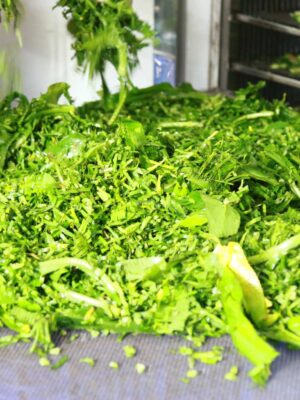 Cắt nhỏ sản phẩm để quá trình sấy được nhanh hơn
