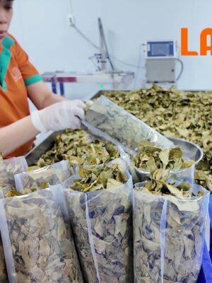 Cho vào túi PE 100g/túi
