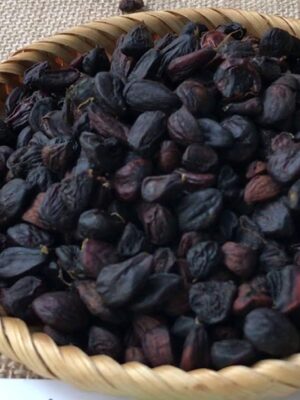 Hạt dổi rừng