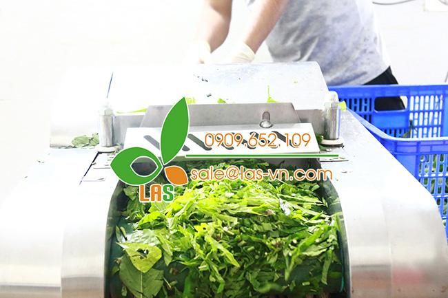 Cắt khúc