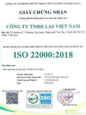 ISO tiếng Việt