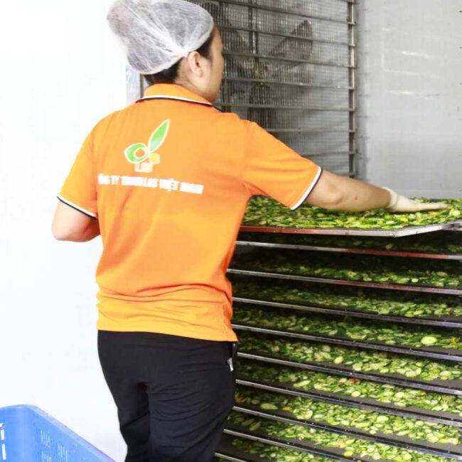 Xếp vào máy sấy