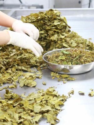 Loại bỏ cộng thừa
