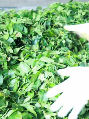 Quy trình làm sạch loại bỏ tạp chất