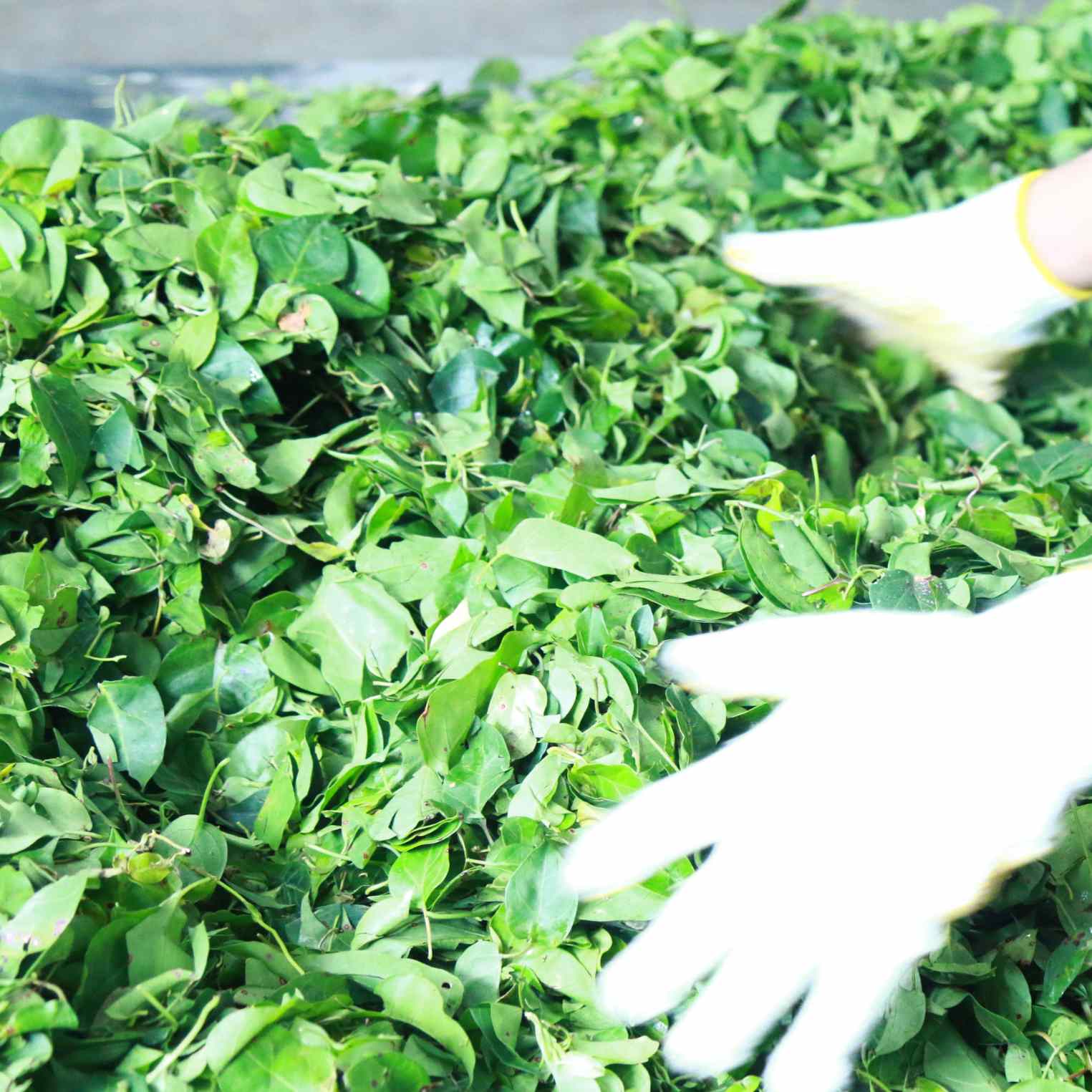 Quy trình làm sạch loại bỏ tạp chất