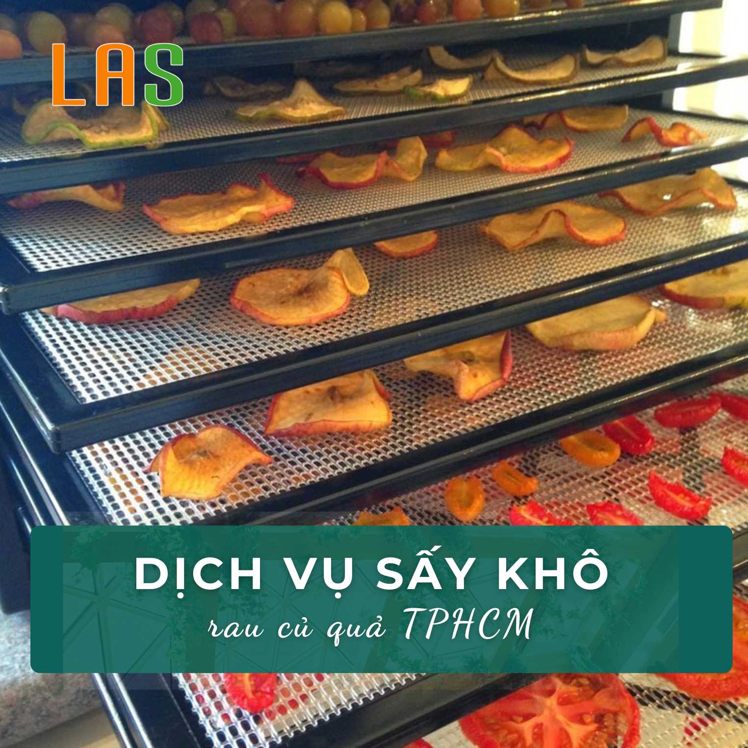 Dịch vụ sấy khô rau củ tphcm