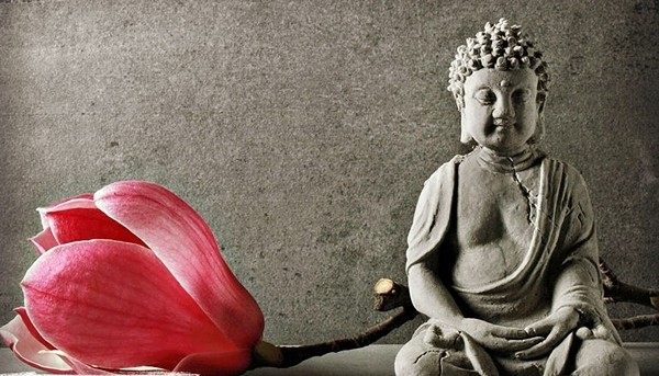 Làm sao để giữ gìn lòng từ bi khi phải nấu mặn cho người thân