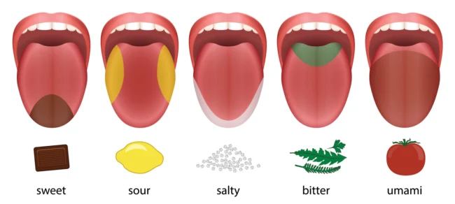 Vị Umami
