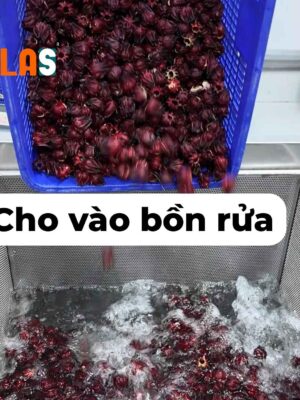 Cho vào bồn rửa
