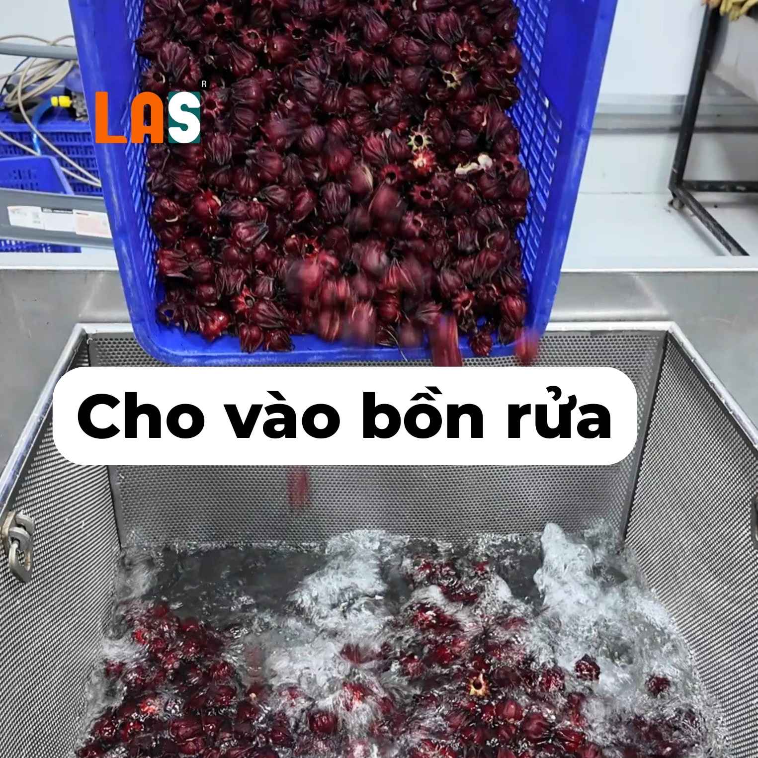 Cho vào bồn rửa