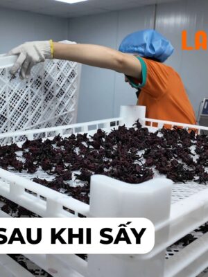 Thành phẩm sau khi sấy