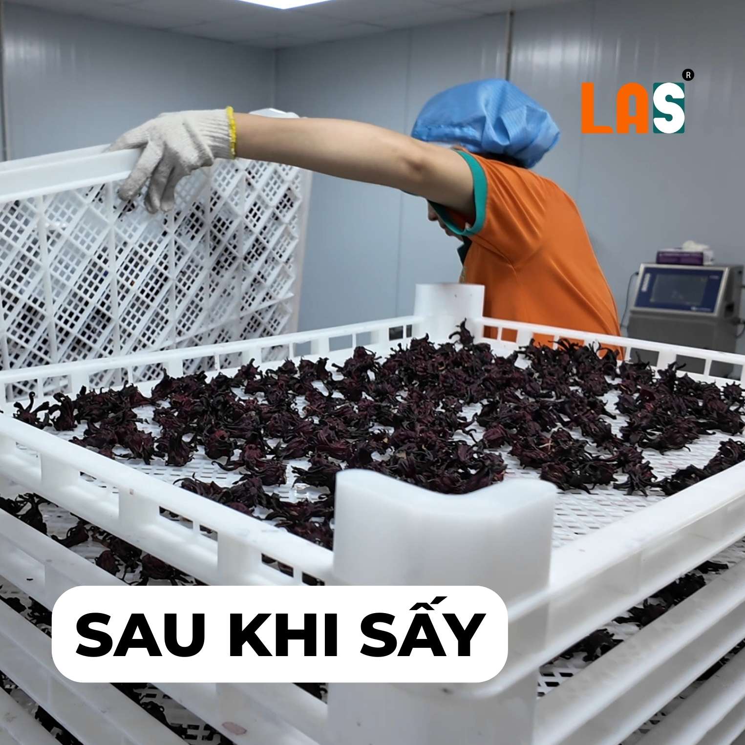 Thành phẩm sau khi sấy
