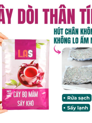 Cây dòi thân tím LAS (cây bọ mắm)