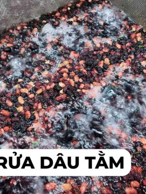 Rửa dâu tằm